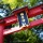 めっちゃ刀あるじゃん。志田大太刀で有名な彌彦神社に行ってきた／新潟県弥彦村